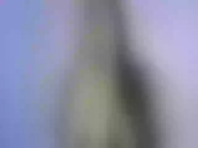 Live sex webcam photo for Katmbarn #272967516