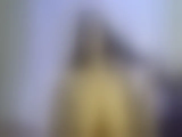 Live sex webcam photo for Katmbarn #273306264