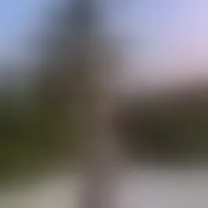 Live sex webcam photo for KimiBrown #292772607