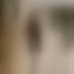 Live sex webcam photo for KiraNeww