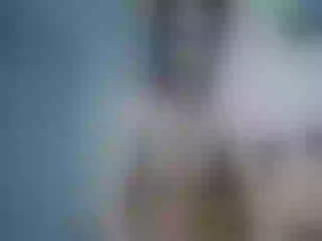 Live sex webcam photo for LadyNoName #273189876