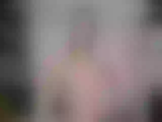 Live sex webcam photo for LadyNoName #274221275