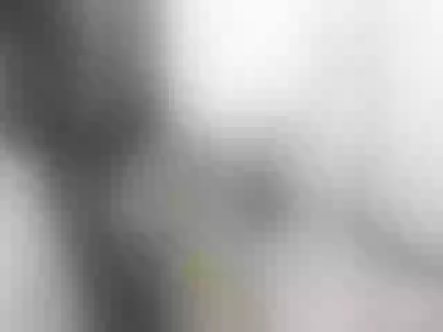 Live sex webcam photo for Lalu95 #273399447