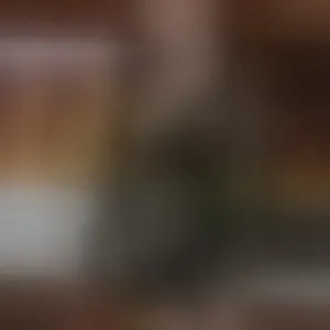 Live sex webcam photo for LanaBlade #292758262