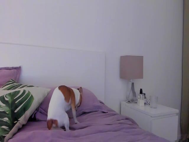 Live sex webcam photo for Lanie__Love #274368156