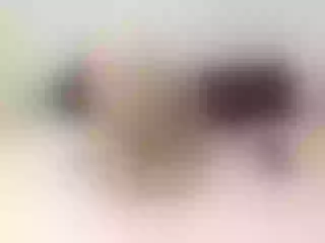 Live sex webcam photo for LaraBollier #272684204