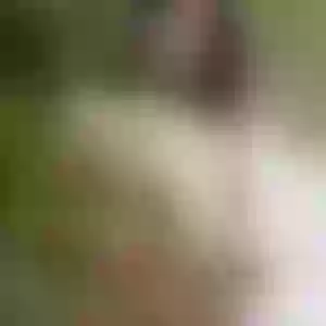 Live sex webcam photo for Latina_col #278198452