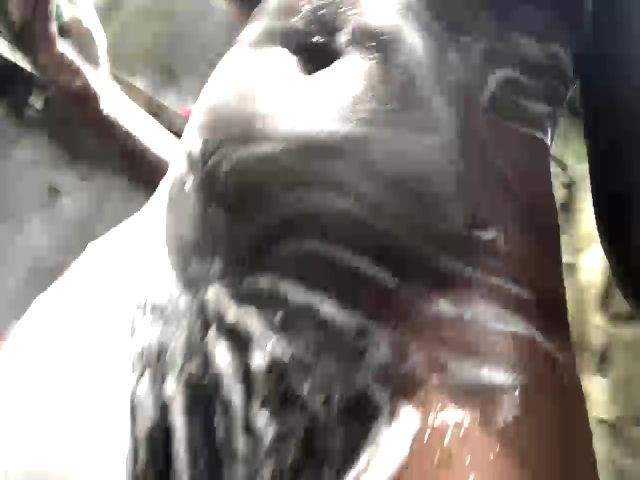 Live sex webcam photo for Legacypepsi #273572532