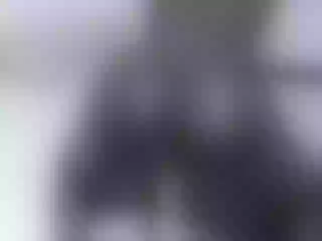 Live sex webcam photo for Leidysautss #272559999