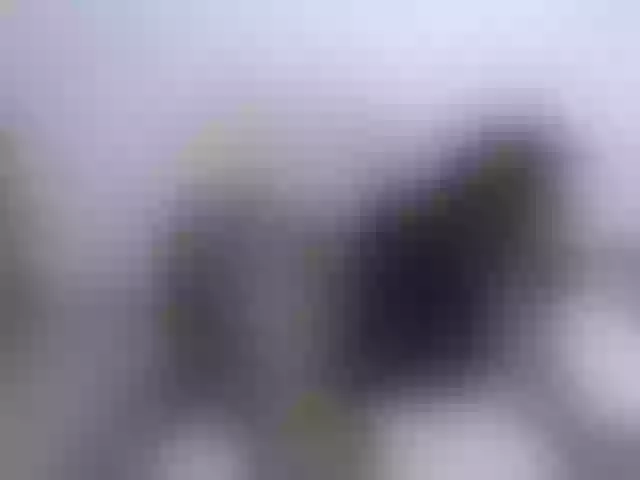 Live sex webcam photo for Leidysautss #272566182