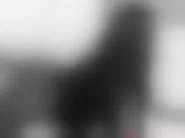 Live sex webcam photo for Leidysautss #272568480