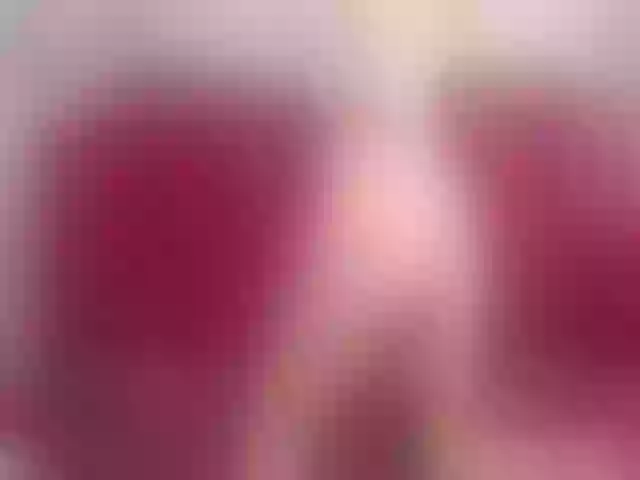 Live sex webcam photo for Lerry_Teen #271743530