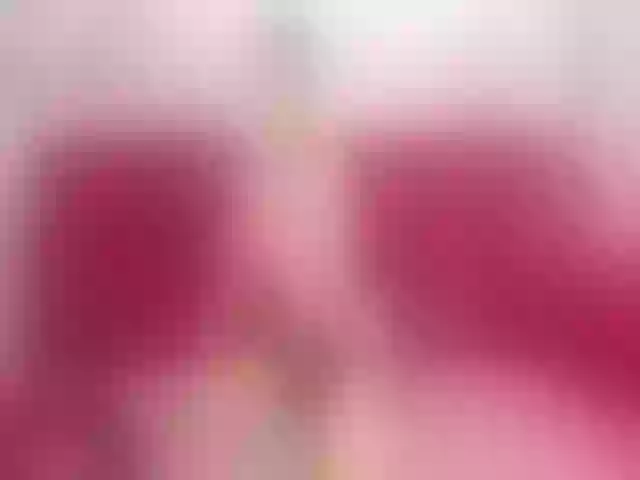 Live sex webcam photo for Lerry_Teen #272185375