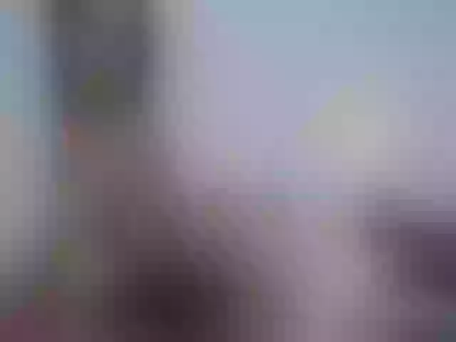 Live sex webcam photo for Lilly_____ #273828046