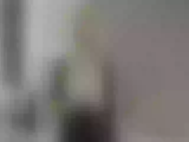 Live sex webcam photo for LindaSophie #273398566