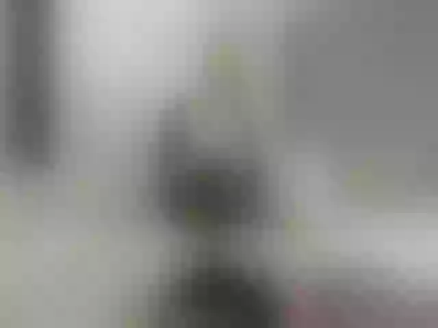 Live sex webcam photo for LindaSophie #273402087