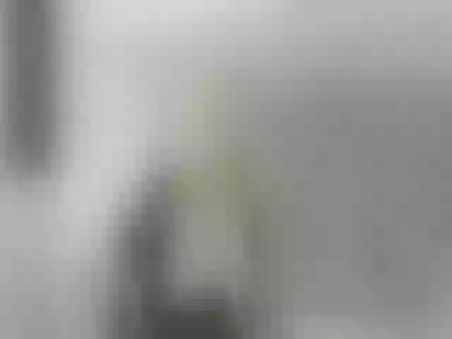 Live sex webcam photo for LindaSophie #273420899