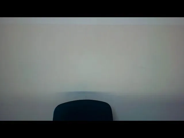 Live sex webcam photo for Liragan #271851982