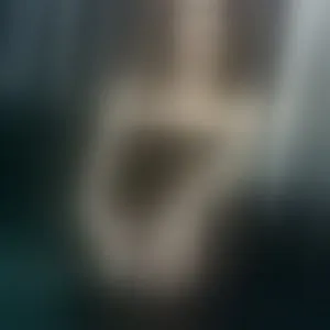 Live sex webcam photo for LisaCroft