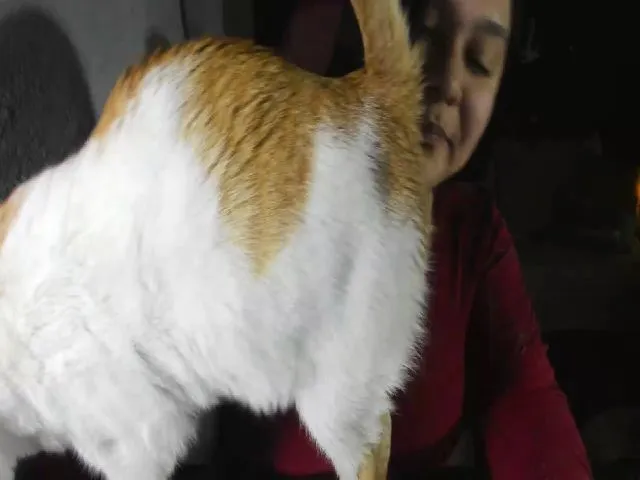 Live sex webcam photo for LisaMariaH #272405638