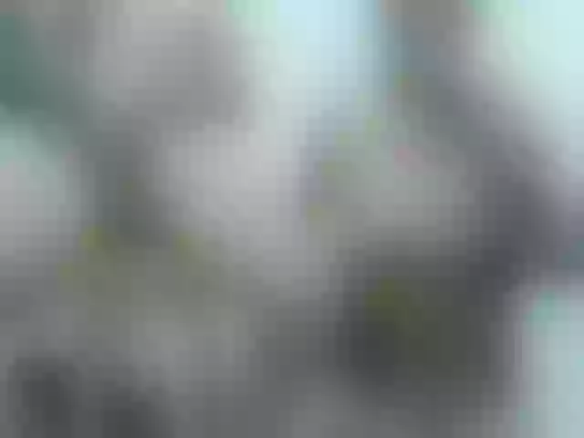 Live sex webcam photo for Littlesarita #272151784