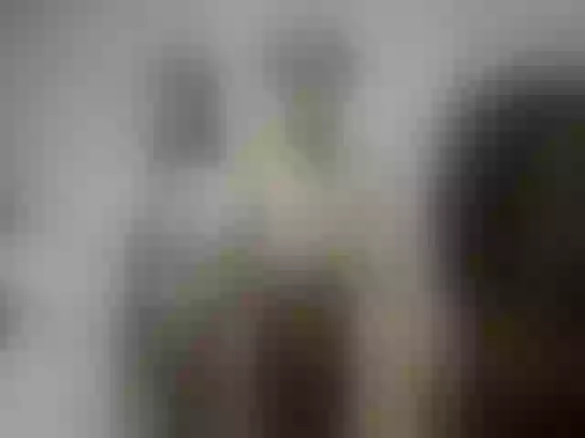 Live sex webcam photo for Littlesarita #272378045
