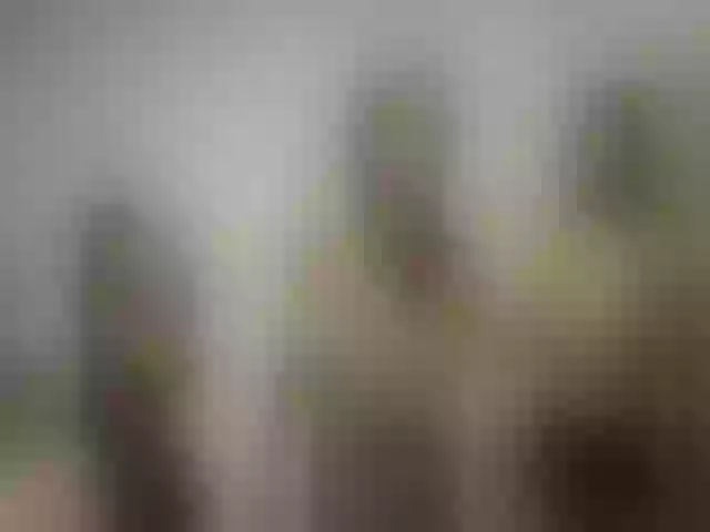 Live sex webcam photo for Littlesarita #272391609