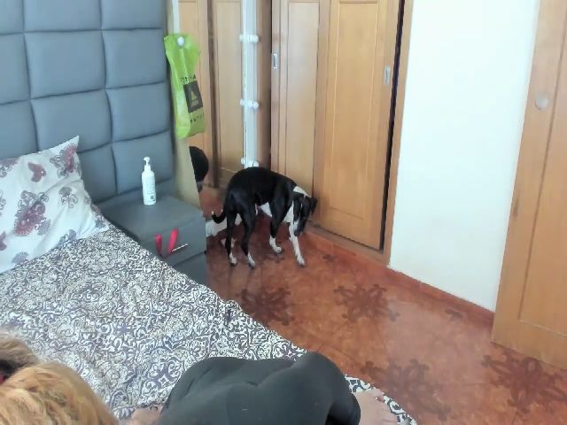 Live sex webcam photo for Lolipopgomez #272411253