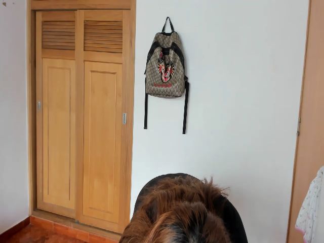 Live sex webcam photo for Lolipopgomez #273128584