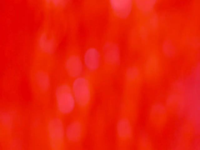 Live sex webcam photo for Lolipopgomez #274166519