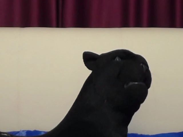 Live sex webcam photo for Lovely_Nadia #273577262