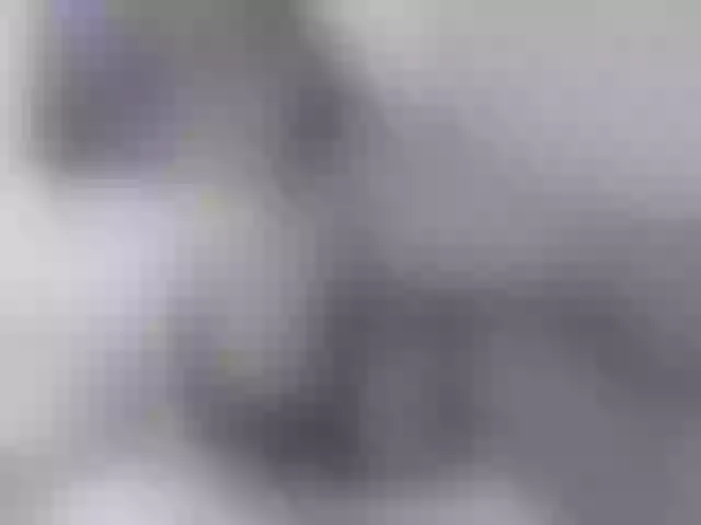 Live sex webcam photo for Lury_ponse #272307665