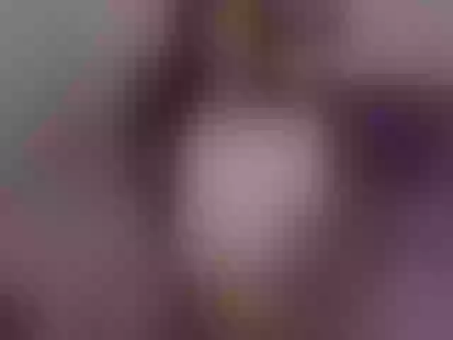 Live sex webcam photo for MULATA_XXX #271797689