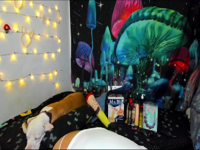 Live sex webcam photo for MackenziDevil #272857829