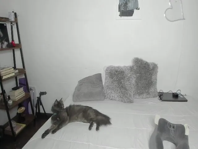 Live sex webcam photo for Manuelavega #272128777