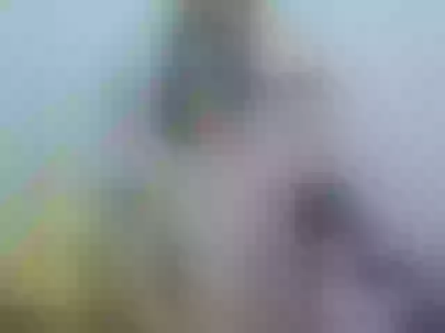 Live sex webcam photo for MariaMolligan #273135444