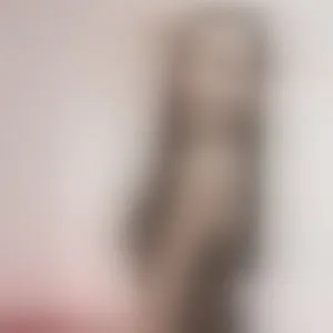 Live sex webcam photo for Mariabelle2