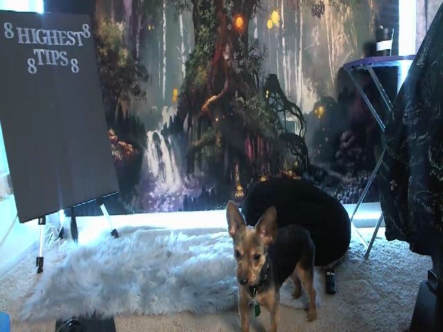 Live sex webcam photo for MckenzieYoung #273258166