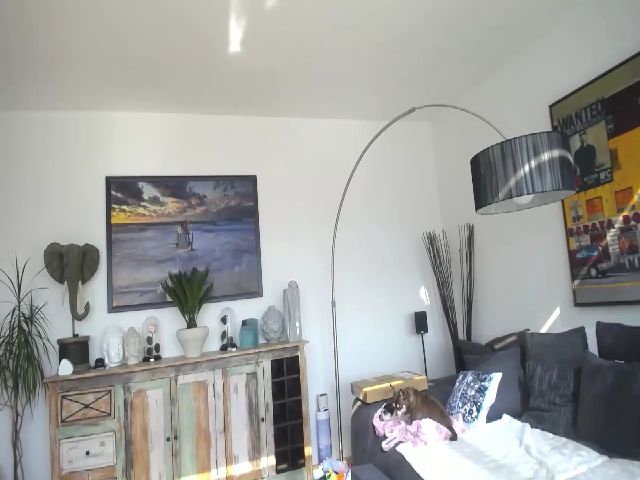 Live sex webcam photo for MiaMaxxx #272721795