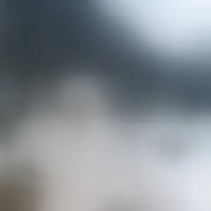 Live sex webcam photo for MinggLee_ #292825126