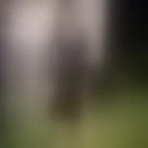 Live sex webcam photo for MissAndy #292625176