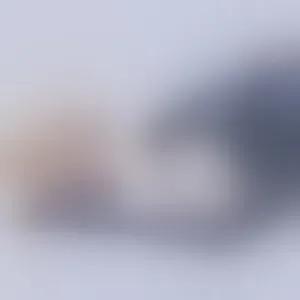 Live sex webcam photo for MissBee #292801716