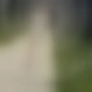 Live sex webcam photo for MissDafina #292707352
