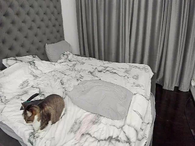 Live sex webcam photo for MissEva19 #272299233