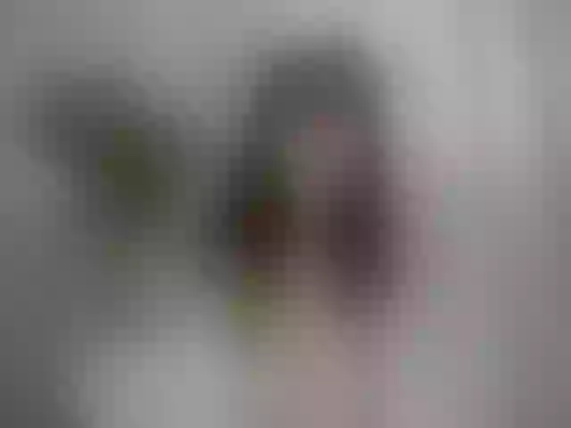 Live sex webcam photo for MissJeanne #272240724