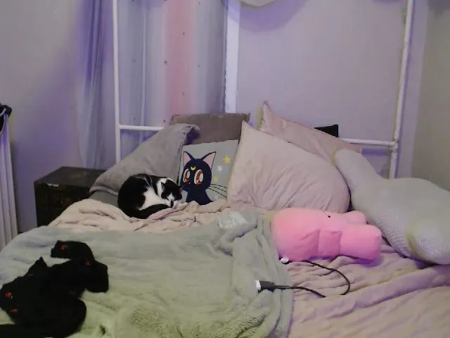 Live sex webcam photo for MissRhi #272003149