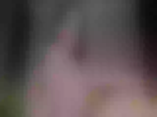 Live sex webcam photo for Miss_Medyson #272488368