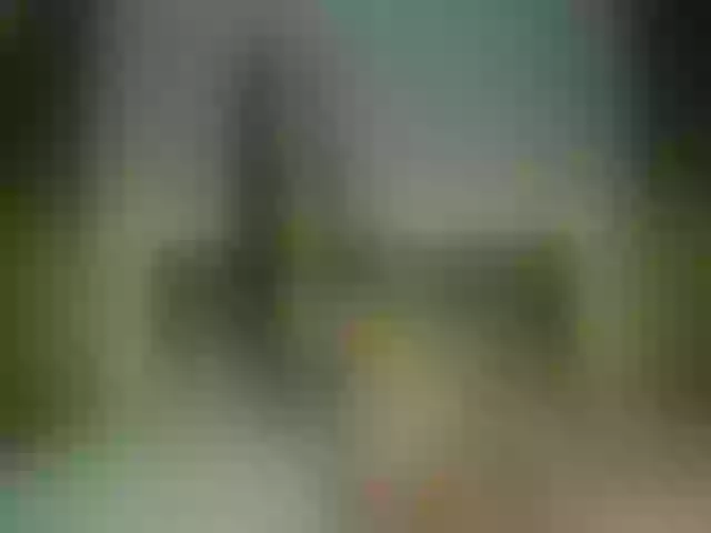 Live sex webcam photo for Miss_Medyson #272594159