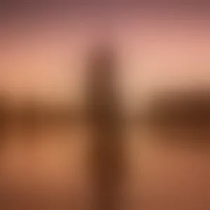 Live sex webcam photo for Missi_More #292625381