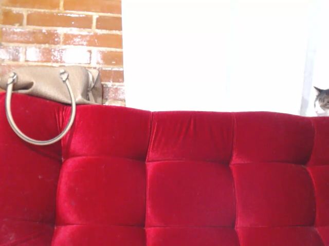 Live sex webcam photo for Missisabella1 #271991773